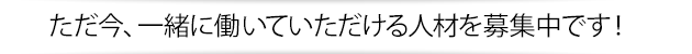 ただ今、一緒に働いていただける人材を募集中です!